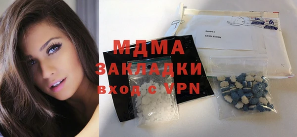 индика Ельня