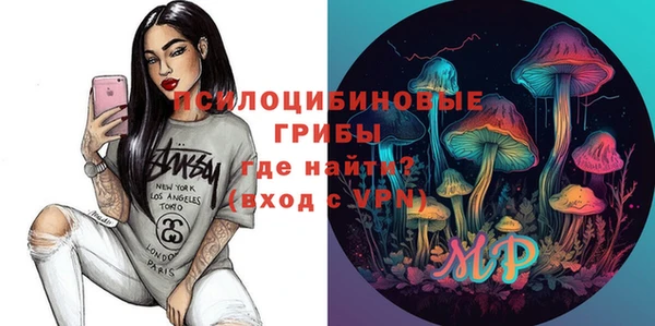 ГАЛЛЮЦИНОГЕННЫЕ ГРИБЫ Киренск